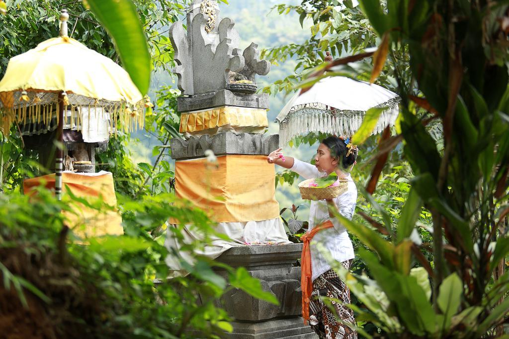 Sang Giri Mountain Tent Resort By Ahm Jatiluwih Kültér fotó