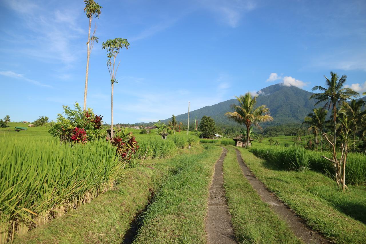 Sang Giri Mountain Tent Resort By Ahm Jatiluwih Kültér fotó