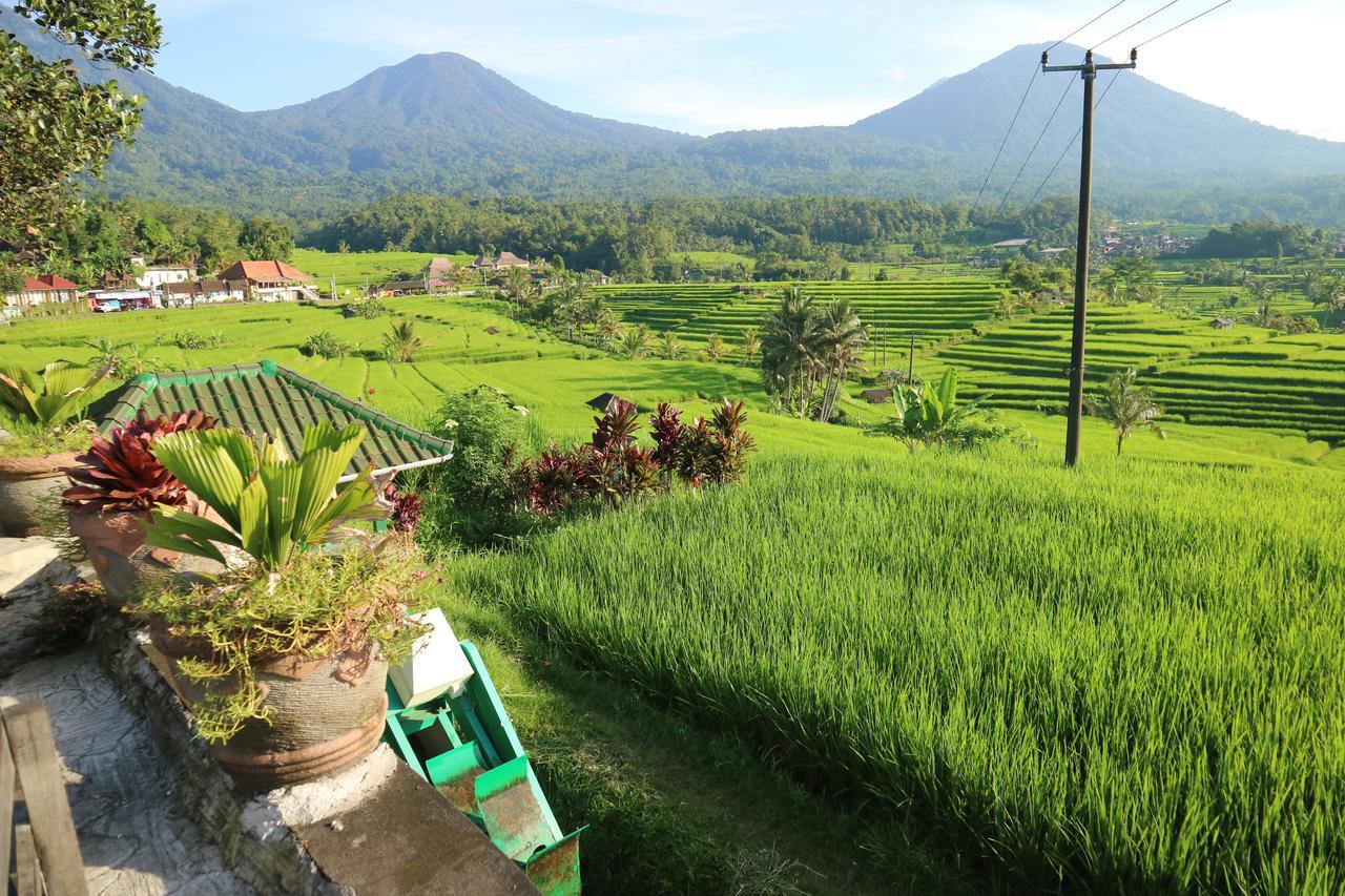 Sang Giri Mountain Tent Resort By Ahm Jatiluwih Kültér fotó