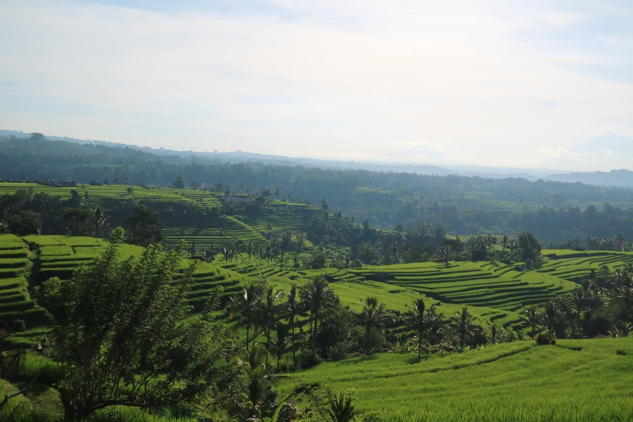 Sang Giri Mountain Tent Resort By Ahm Jatiluwih Kültér fotó