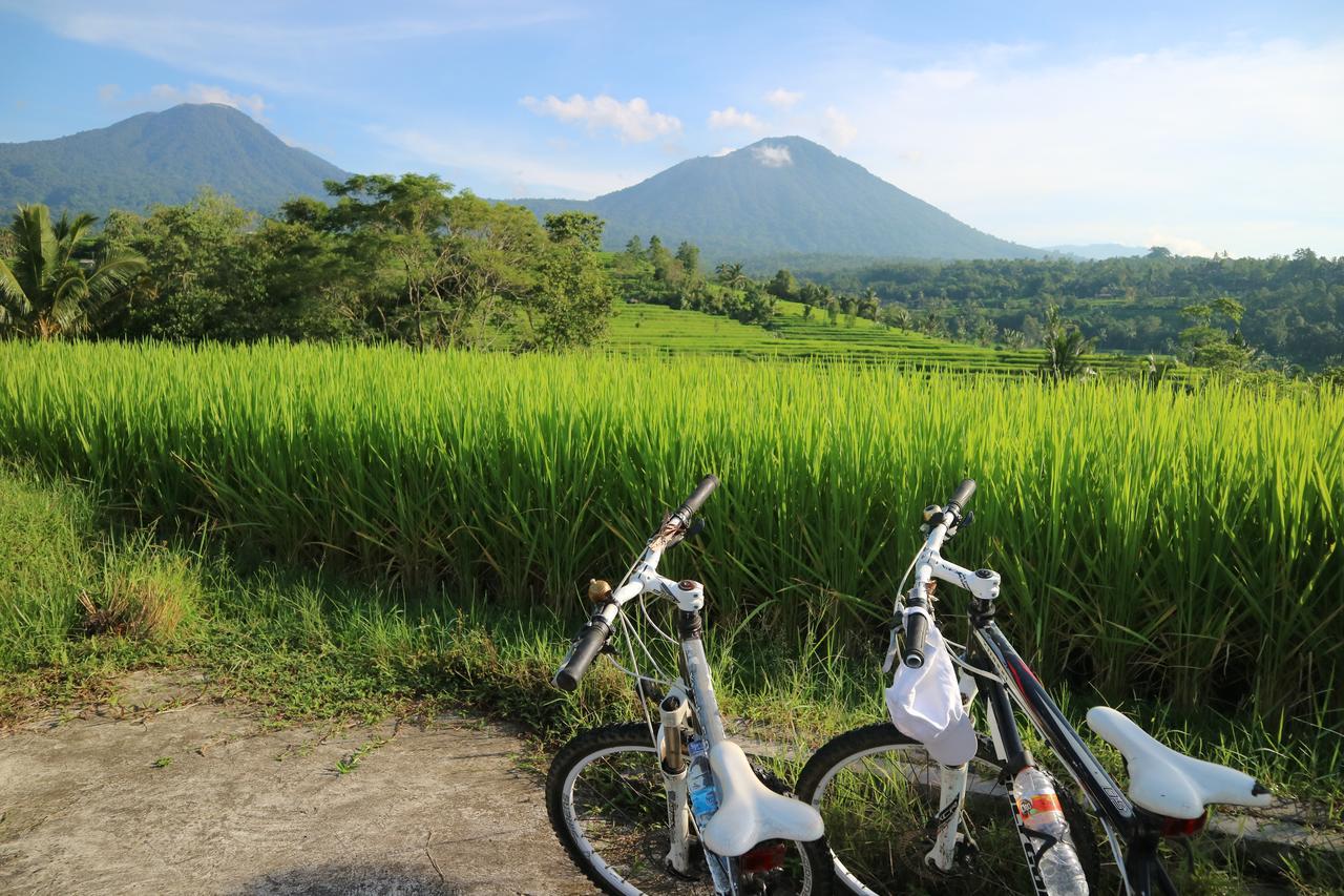 Sang Giri Mountain Tent Resort By Ahm Jatiluwih Kültér fotó